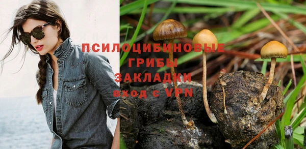 стафф Карталы
